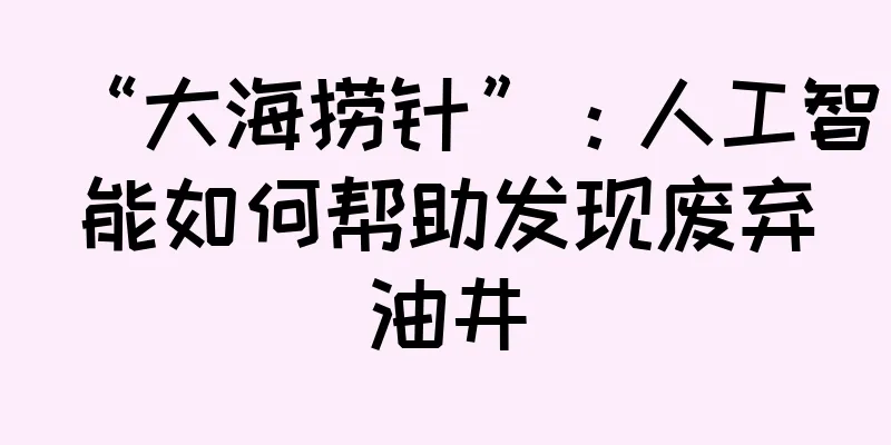 “大海捞针”：人工智能如何帮助发现废弃油井