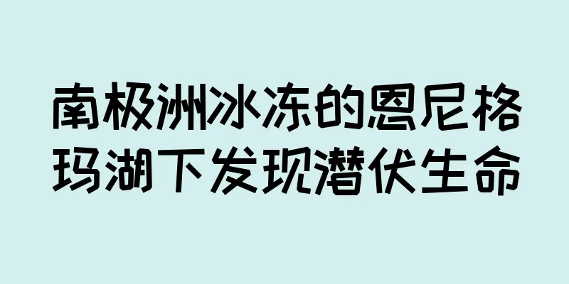 南极洲冰冻的恩尼格玛湖下发现潜伏生命