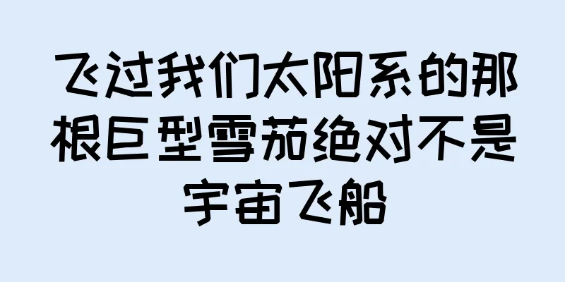 飞过我们太阳系的那根巨型雪茄绝对不是宇宙飞船