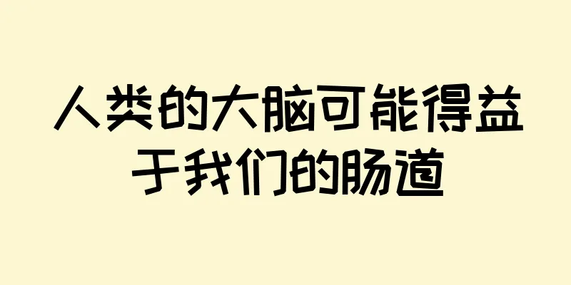 人类的大脑可能得益于我们的肠道