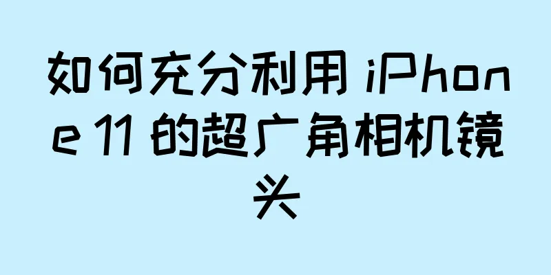 如何充分利用 iPhone 11 的超广角相机镜头
