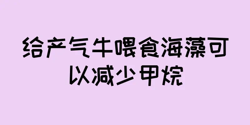 给产气牛喂食海藻可以减少甲烷