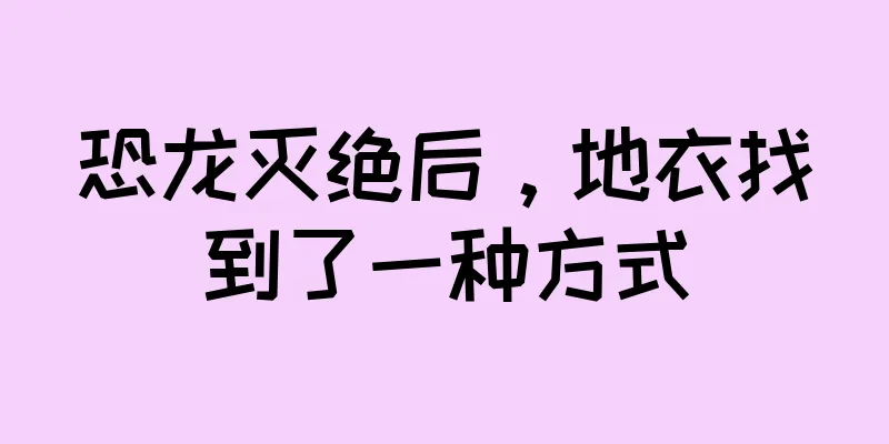 恐龙灭绝后，地衣找到了一种方式