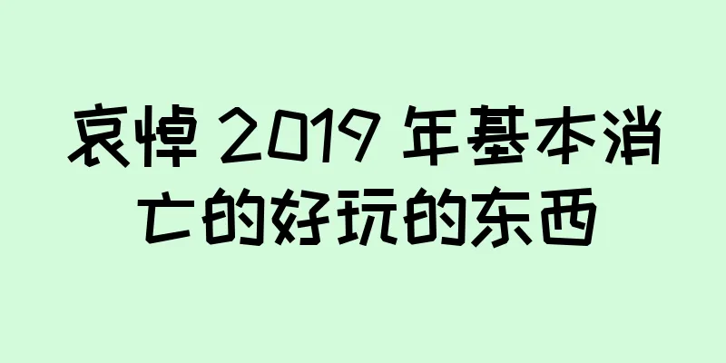 哀悼 2019 年基本消亡的好玩的东西