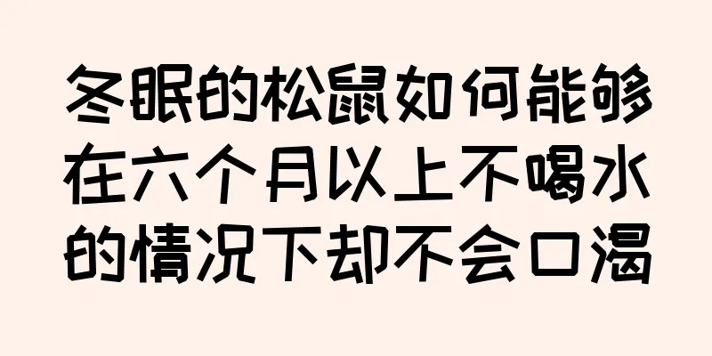 冬眠的松鼠如何能够在六个月以上不喝水的情况下却不会口渴