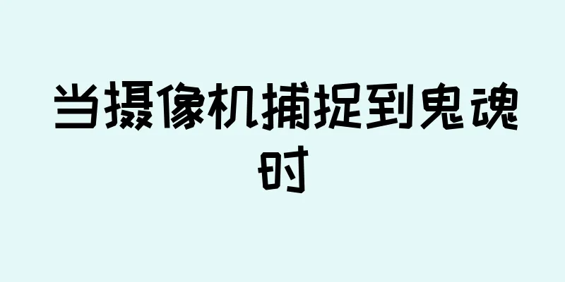 当摄像机捕捉到鬼魂时