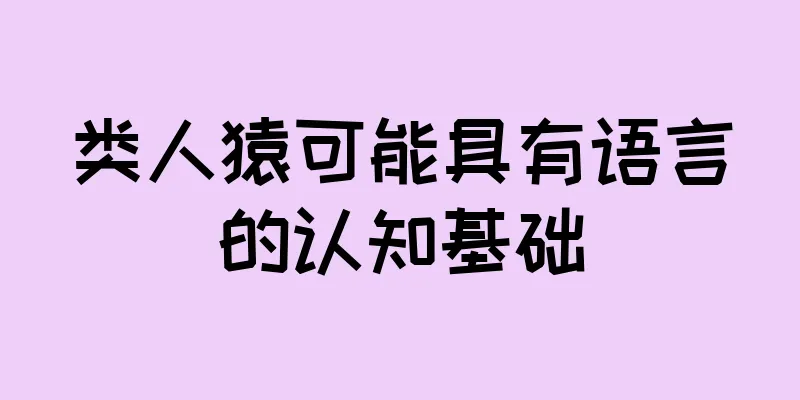 类人猿可能具有语言的认知基础