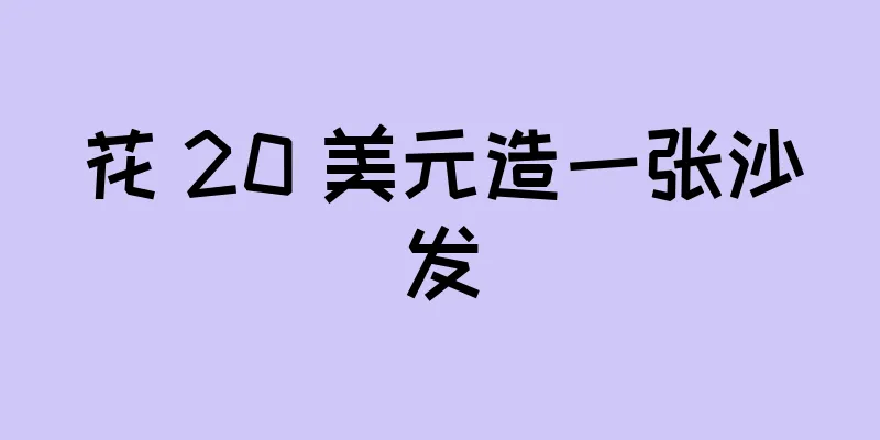 花 20 美元造一张沙发