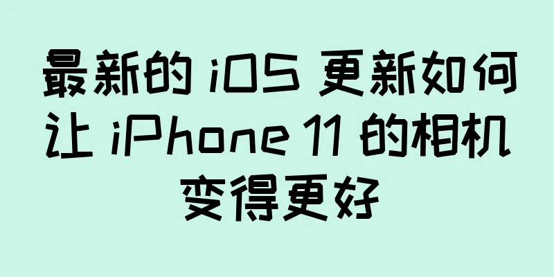 最新的 iOS 更新如何让 iPhone 11 的相机变得更好