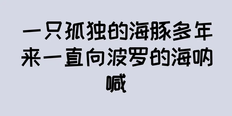 一只孤独的海豚多年来一直向波罗的海呐喊