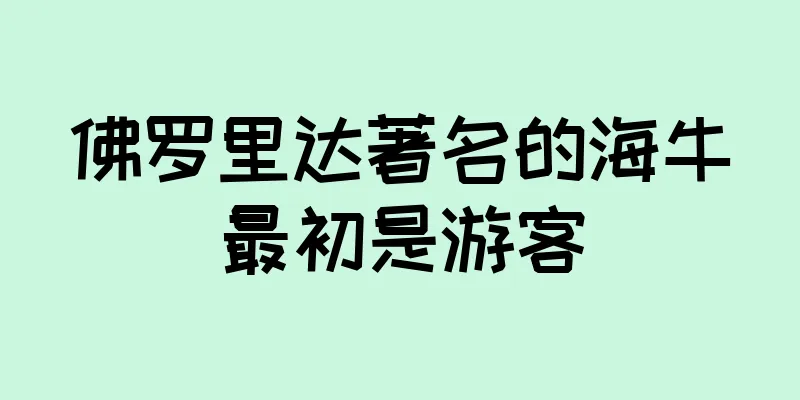 佛罗里达著名的海牛最初是游客