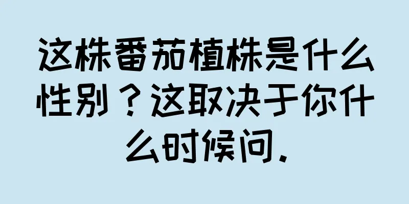 这株番茄植株是什么性别？这取决于你什么时候问。