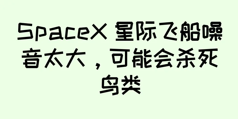 SpaceX 星际飞船噪音太大，可能会杀死鸟类