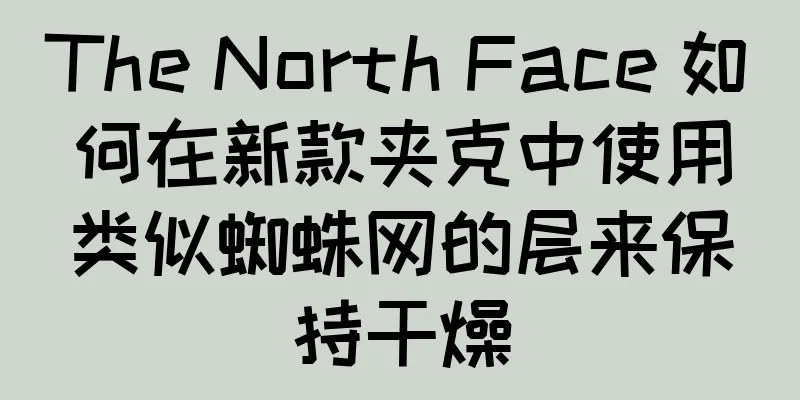 The North Face 如何在新款夹克中使用类似蜘蛛网的层来保持干燥