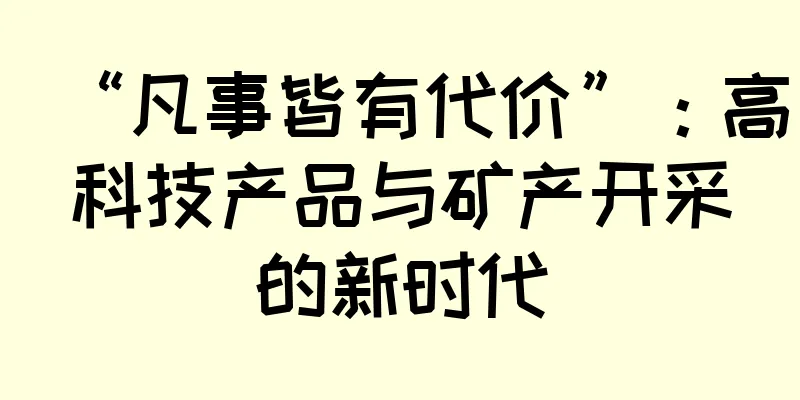 “凡事皆有代价”：高科技产品与矿产开采的新时代