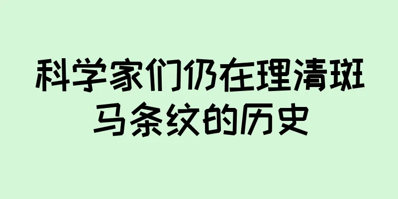 科学家们仍在理清斑马条纹的历史