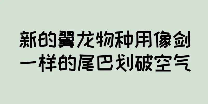 新的翼龙物种用像剑一样的尾巴划破空气