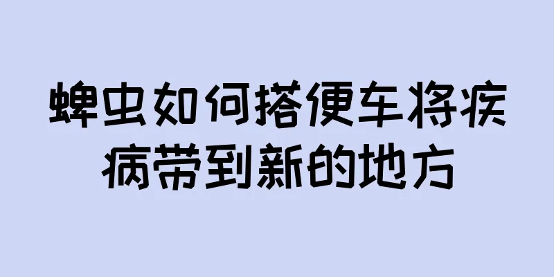 蜱虫如何搭便车将疾病带到新的地方