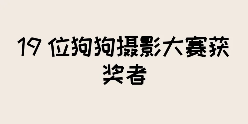 19 位狗狗摄影大赛获奖者