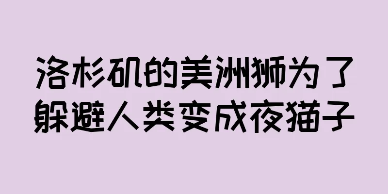 洛杉矶的美洲狮为了躲避人类变成夜猫子