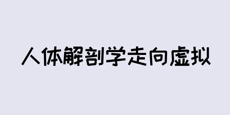 人体解剖学走向虚拟