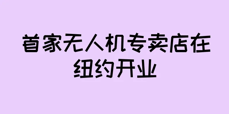 首家无人机专卖店在纽约开业