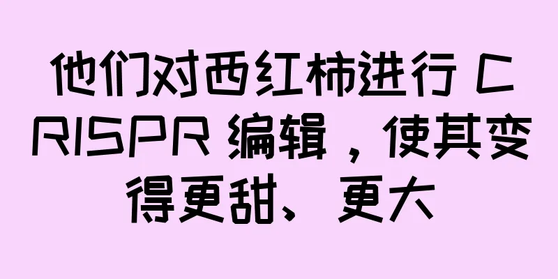 他们对西红柿进行 CRISPR 编辑，使其变得更甜、更大