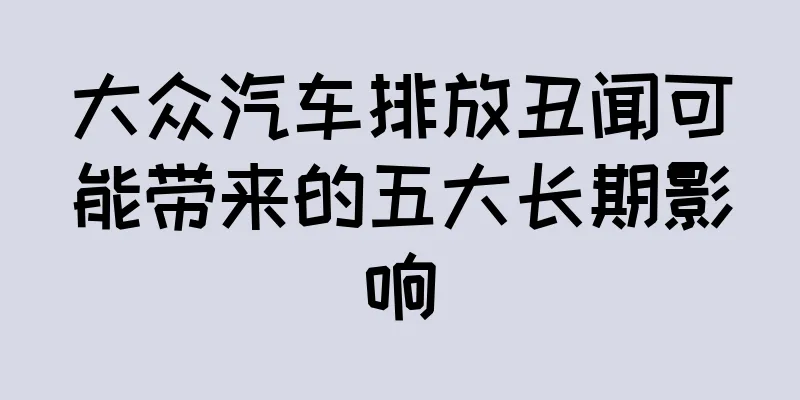 大众汽车排放丑闻可能带来的五大长期影响