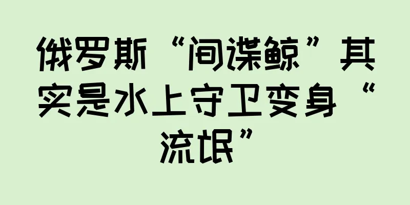 俄罗斯“间谍鲸”其实是水上守卫变身“流氓”
