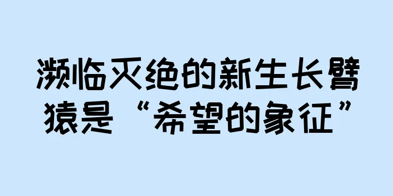 濒临灭绝的新生长臂猿是“希望的象征”