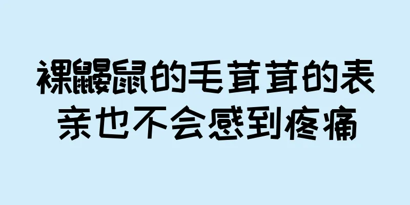 裸鼹鼠的毛茸茸的表亲也不会感到疼痛