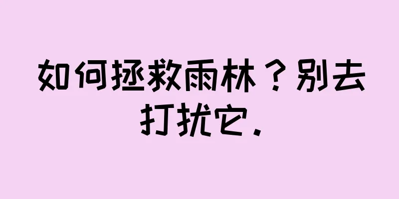 如何拯救雨林？别去打扰它。