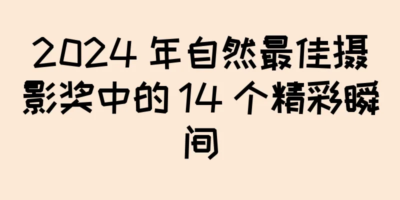 2024 年自然最佳摄影奖中的 14 个精彩瞬间
