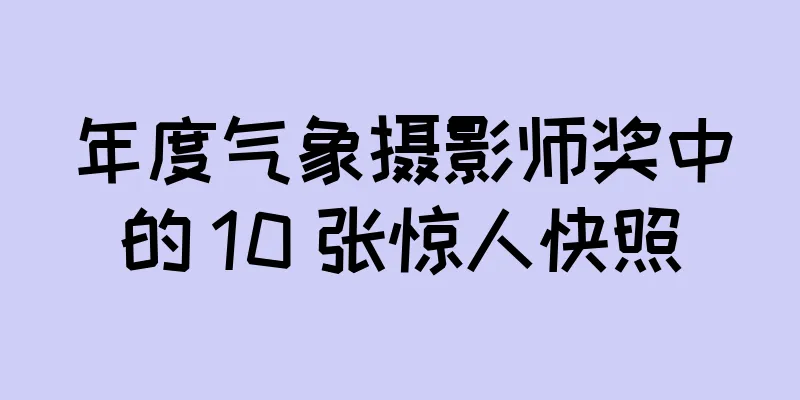 年度气象摄影师奖中的 10 张惊人快照