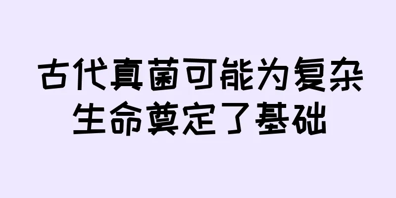 古代真菌可能为复杂生命奠定了基础