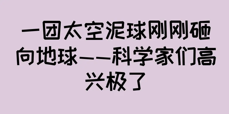 一团太空泥球刚刚砸向地球——科学家们高兴极了