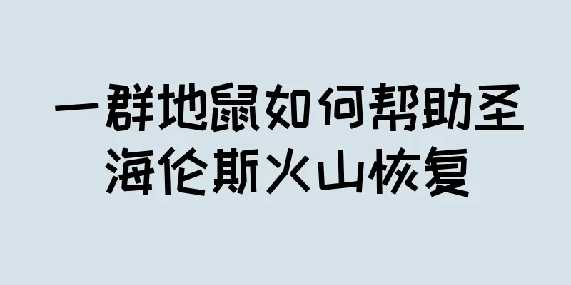 一群地鼠如何帮助圣海伦斯火山恢复