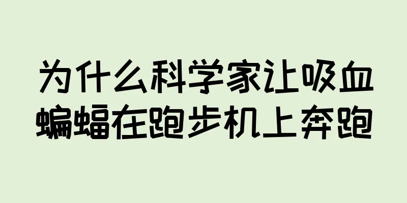 为什么科学家让吸血蝙蝠在跑步机上奔跑
