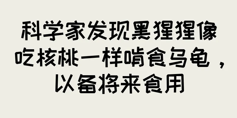 科学家发现黑猩猩像吃核桃一样啃食乌龟，以备将来食用