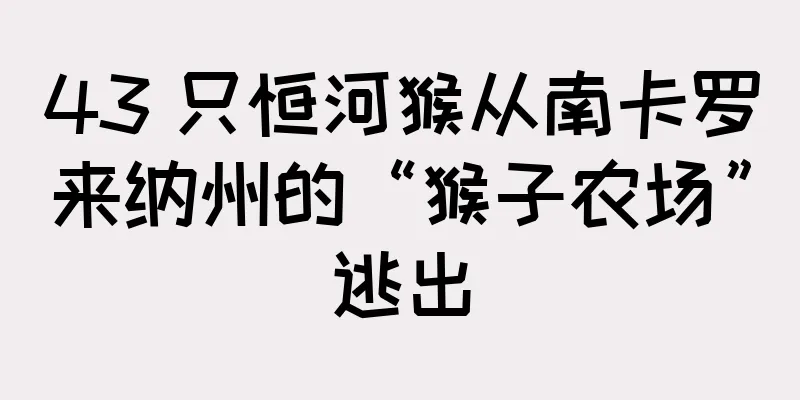 43 只恒河猴从南卡罗来纳州的“猴子农场”逃出
