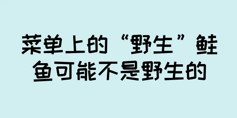 菜单上的“野生”鲑鱼可能不是野生的
