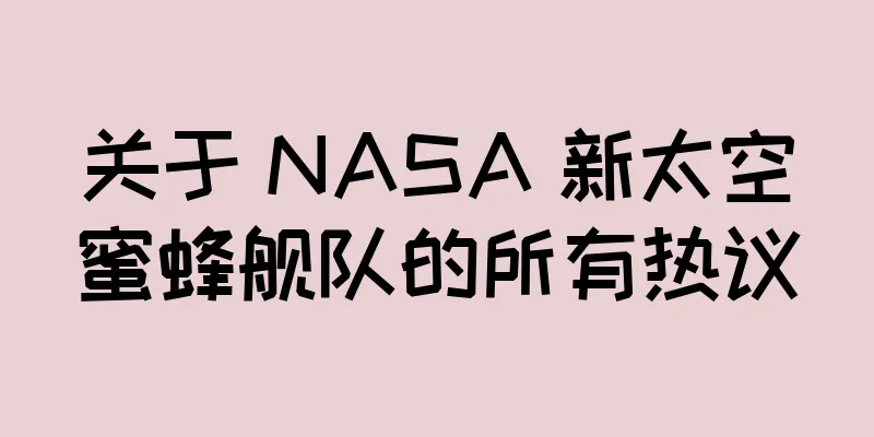 关于 NASA 新太空蜜蜂舰队的所有热议