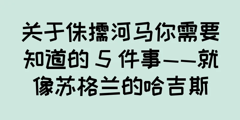 关于侏儒河马你需要知道的 5 件事——就像苏格兰的哈吉斯