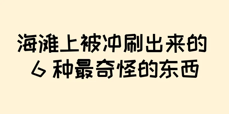 海滩上被冲刷出来的 6 种最奇怪的东西