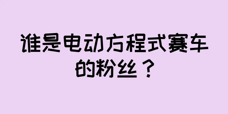 谁是电动方程式赛车的粉丝？