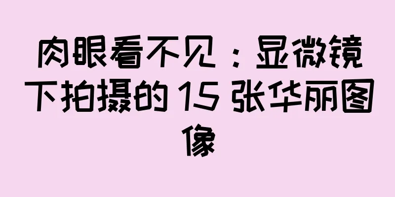 肉眼看不见：显微镜下拍摄的 15 张华丽图像
