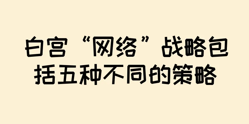白宫“网络”战略包括五种不同的策略