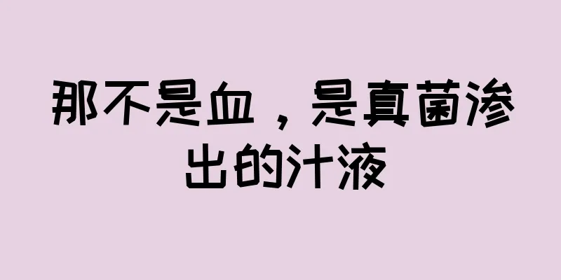 那不是血，是真菌渗出的汁液
