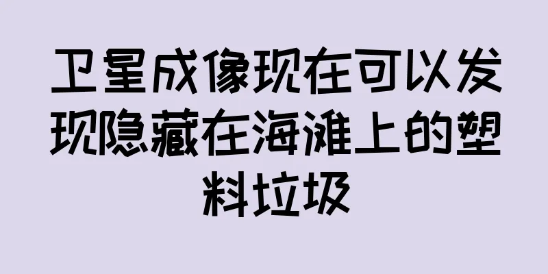 卫星成像现在可以发现隐藏在海滩上的塑料垃圾