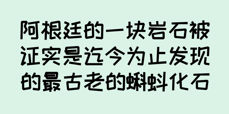 阿根廷的一块岩石被证实是迄今为止发现的最古老的蝌蚪化石